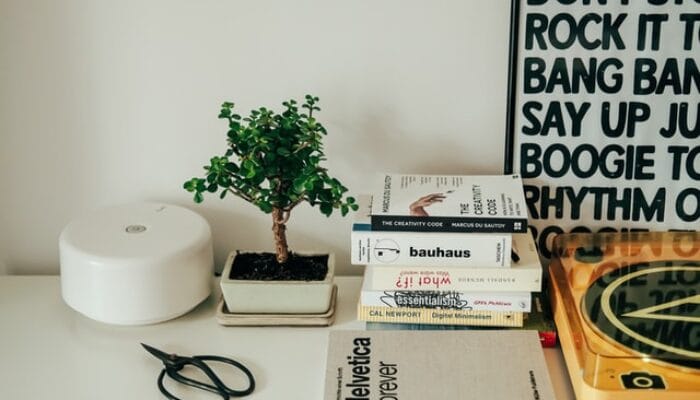 Tips Memilih Jasa Content Placement Berkualitas untuk Bisnis Kamu