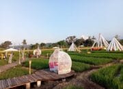 9 Lokasi Wisata di Cirebon ini Mirip Pulau Dewata, Tertarik Berkunjung?