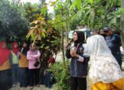 Bantu Atasi Limbah Pertanian, Mahasiswa KKN UNDIP Lakukan Pelatihan Pengolahan Sekam Padi Menjadi Media Tanam Arang Sekam