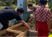 Merangkul Generasi Alpha Melalui EduGarden, Mahasiswa KKN UNDIP Ajak Siswa SD Belajar Bercocok Tanam