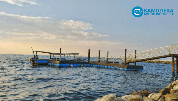 Hadirkan Kubus Apung Lokal, PT Samudera Apung Indonesia Dorong Proyek Infrastruktur Perairan Indonesia